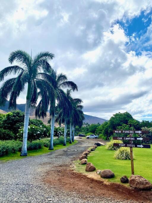 Campervan/Maui Hosted By Go Camp Maui Кихей Экстерьер фото